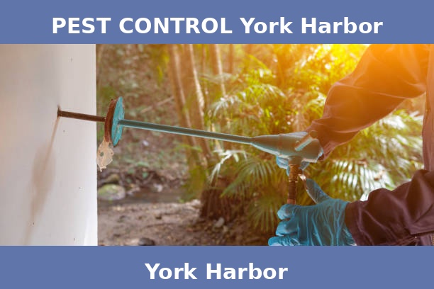 PEST CONTROL York Harbor